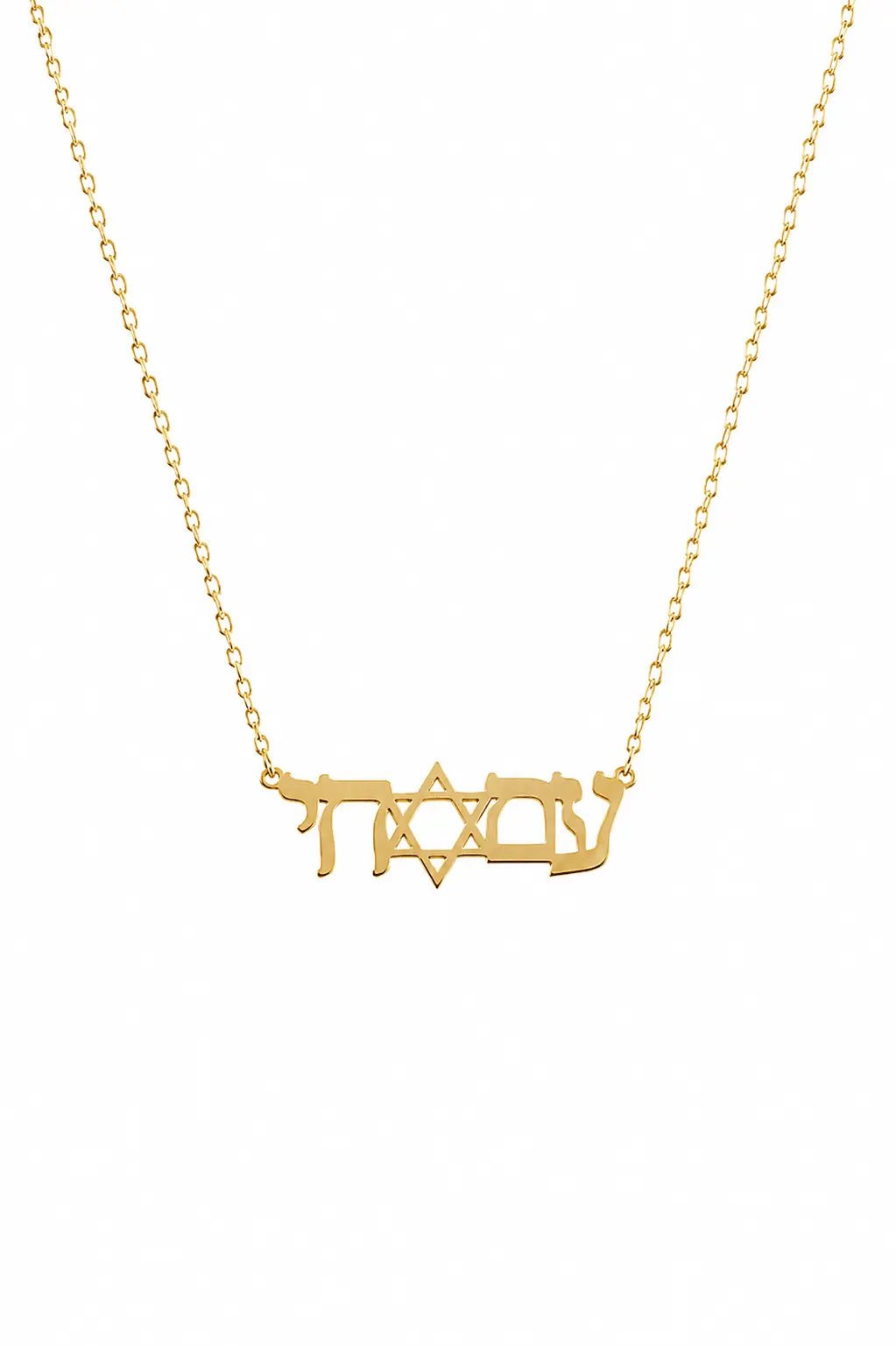 Am Yisrael Chai Necklace - EMET
